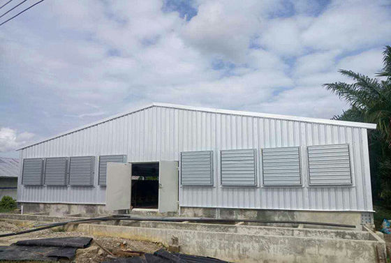 Q235B Steel Structure Poultry House  Painted Steel Frame Chicken Coop