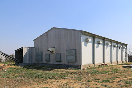 Pre Engineered Steel Chicken House Q355B Sqaure Tube And H Section