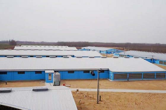 Galvanized Steel Structure Poultry House GB Standard