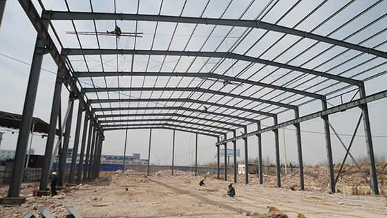 20x50 Steel Structure Shed Custom Metal Sheds Modern Design Style