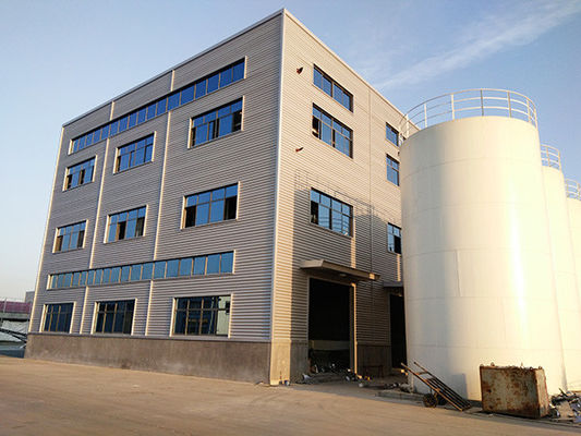 Customizable Q355B Prefabricated Steel Buildings Commercial